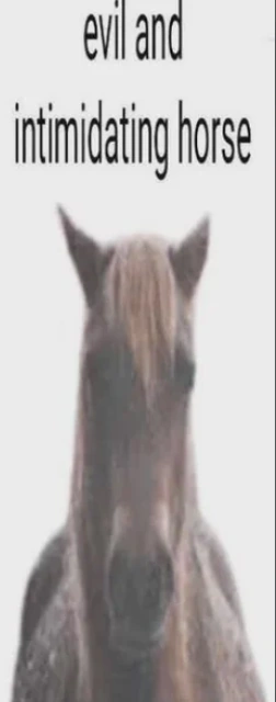 the horse